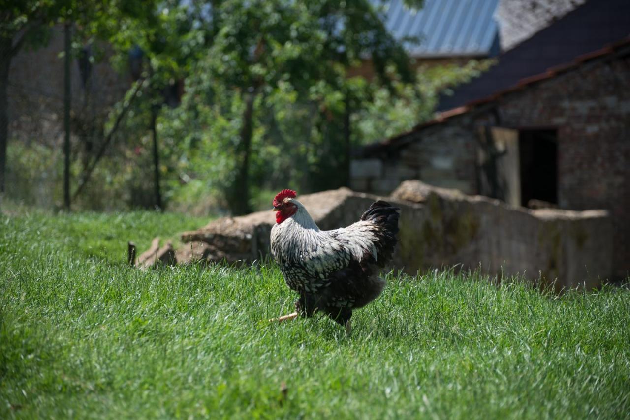 Bed & Breakfast D'hotes L'hirondelle *